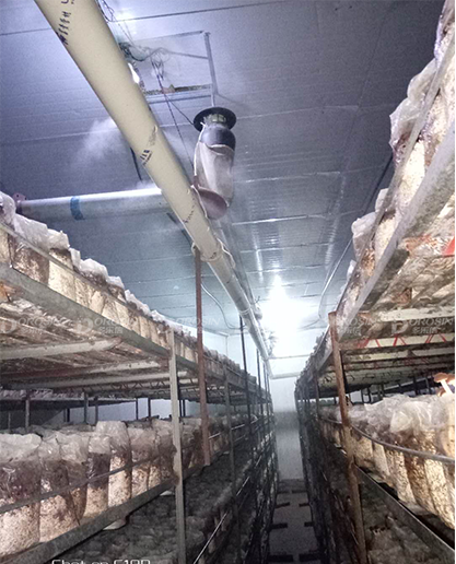水印 拷貝 25.png