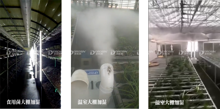 溫室大棚加濕.png